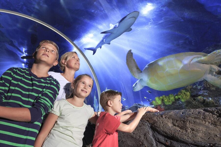 SEA LIFE Timmendorfer Strand Ticket - Key points at a glance