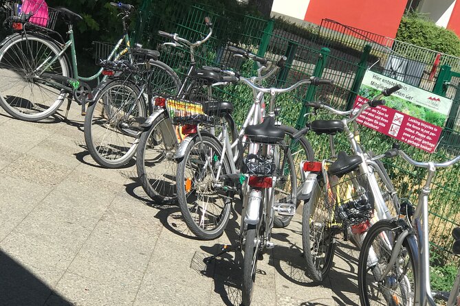 Small-Group Historical Bike Tour in Berlin - The Holocaust Memorial and the Nazi government district