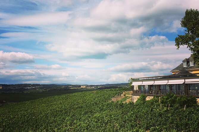 Small Group Rheingau Vineyards Tour with Castles and Abbeys - Why the Rheingau makes a fine wine day from Mainz