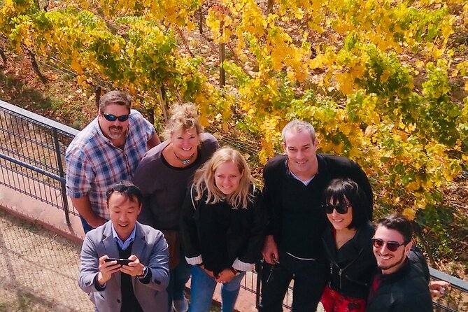 Small Group Rheingau Vineyards Tour with Castles and Abbeys - RheinWeinWelt in Rüdesheim: a tasting room with lunch options