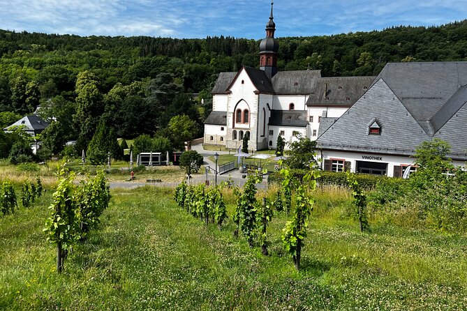 Small Group Rheingau Vineyards Tour with Castles and Abbeys - Walking, timing, and other practical points