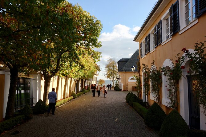 Small Group Rheingau Vineyards Tour with Castles and Abbeys - Johannisberg Palace: a scenic pause if time allows