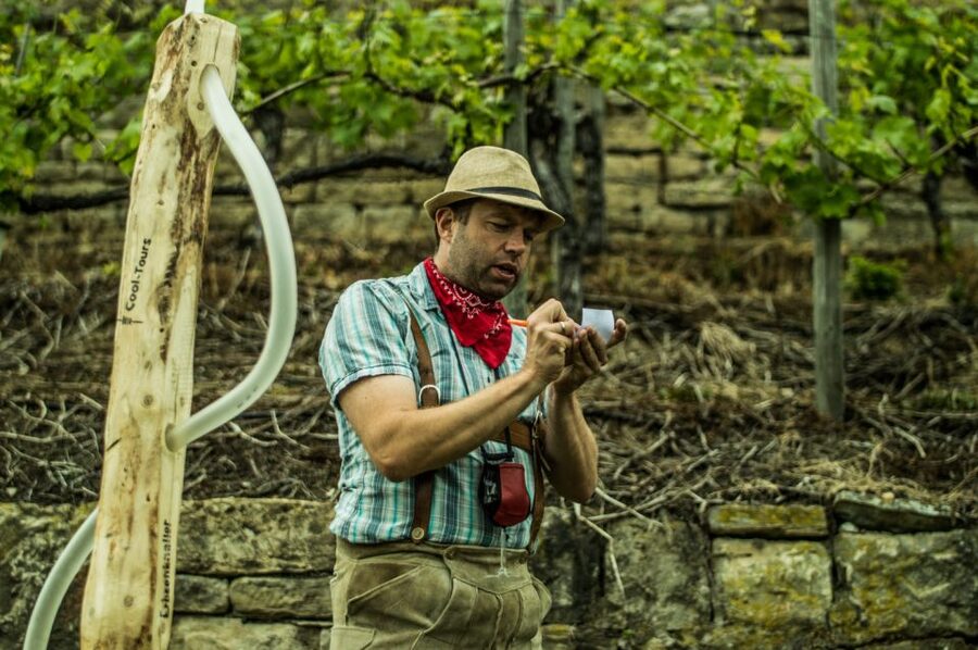 Stuttgart: Guided Vineyards Tour - Five Wines, Including Cannstatter Zuckerle