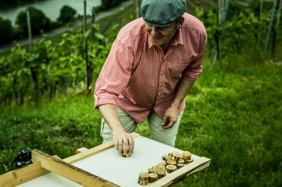 Stuttgart: Guided Vineyards Tour - What the Guide Adds