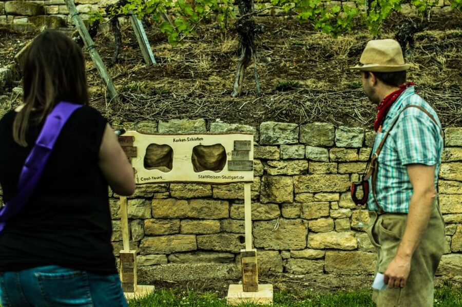 Stuttgart: Guided Vineyards Tour - Is $800 a Good Value for Up to 15 People?