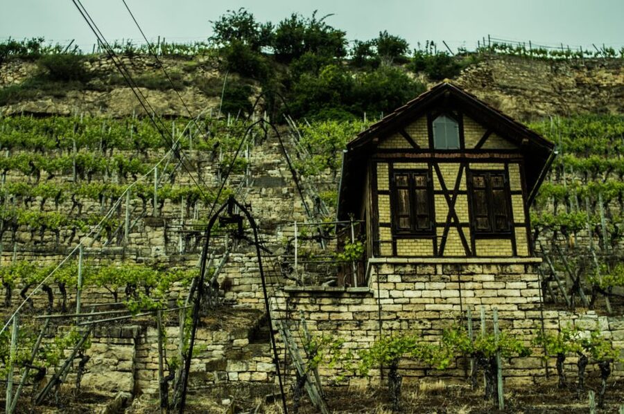 Stuttgart: Guided Vineyards Tour - Who Should Book This Stuttgart Wine Walk?