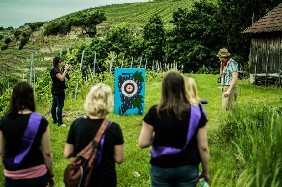 Stuttgart: Guided Vineyards Tour - Practical Advice Before You Go