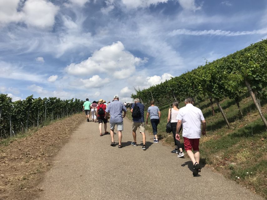 Stuttgart: Guided Wine Walk & Wine Tasting - Practical advice for a smoother outing