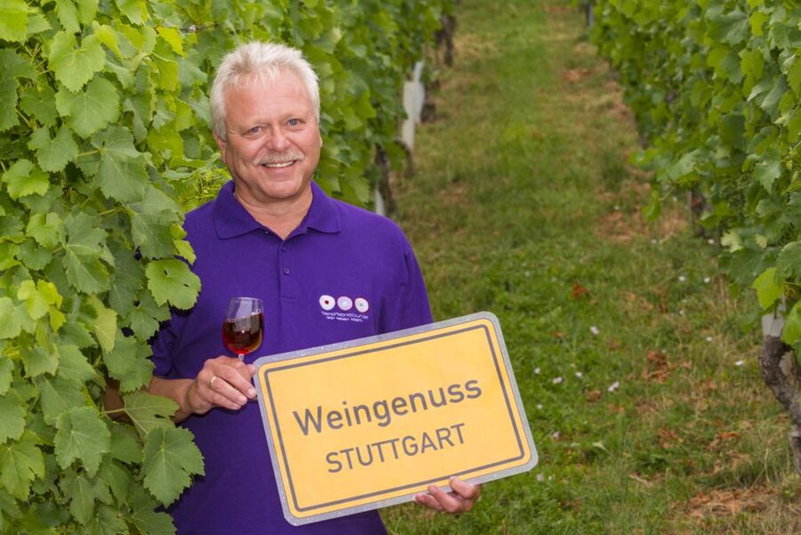 Stuttgart: Guided Wine Walk & Wine Tasting - Lookout points and historical paths
