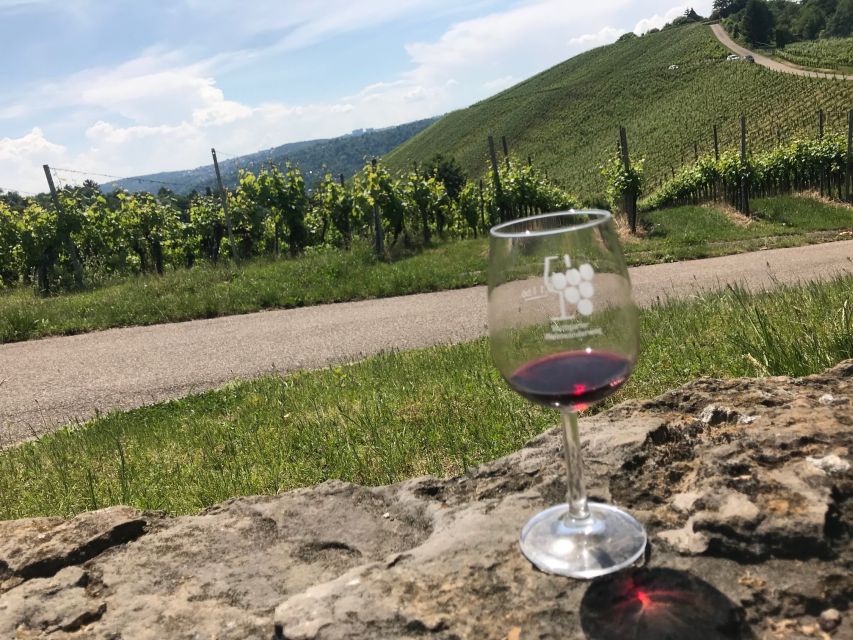 Stuttgart: Guided Wine Walk & Wine Tasting - The first wine tasting: local flavor with a view