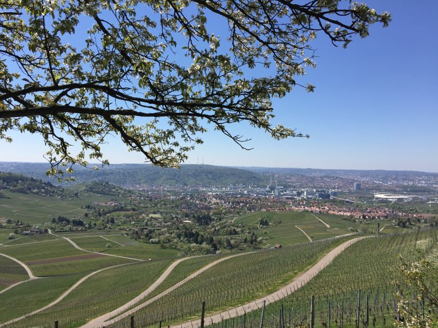 Stuttgart: Guided Wine Walk & Wine Tasting - The second tasting and the end of the route