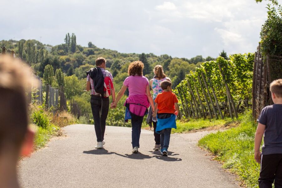 Stuttgart Nature Experience Day - Why this Stuttgart outing works so well