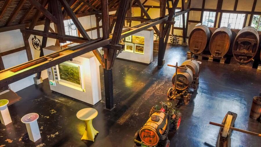 Stuttgart: Stuttgart Wine Museum Wine Tasting - Is $31 a fair price for one hour?