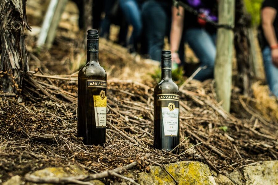 Stuttgart: Vineyard Tour by Covered Wagon - A country-style ride beside Stuttgart’s Neckar