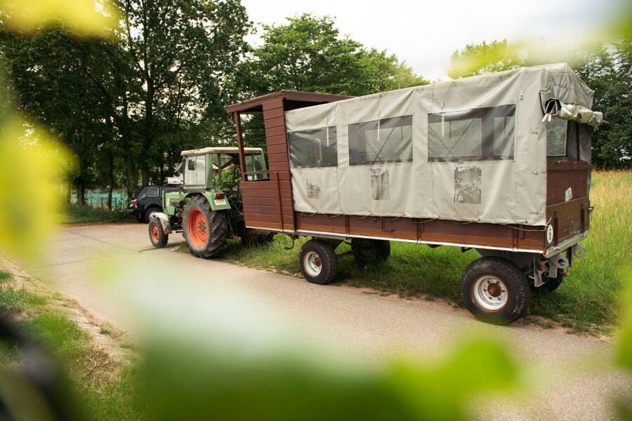 Stuttgart: Vineyard Tour by Covered Wagon - Who will enjoy this Stuttgart wine ride most?