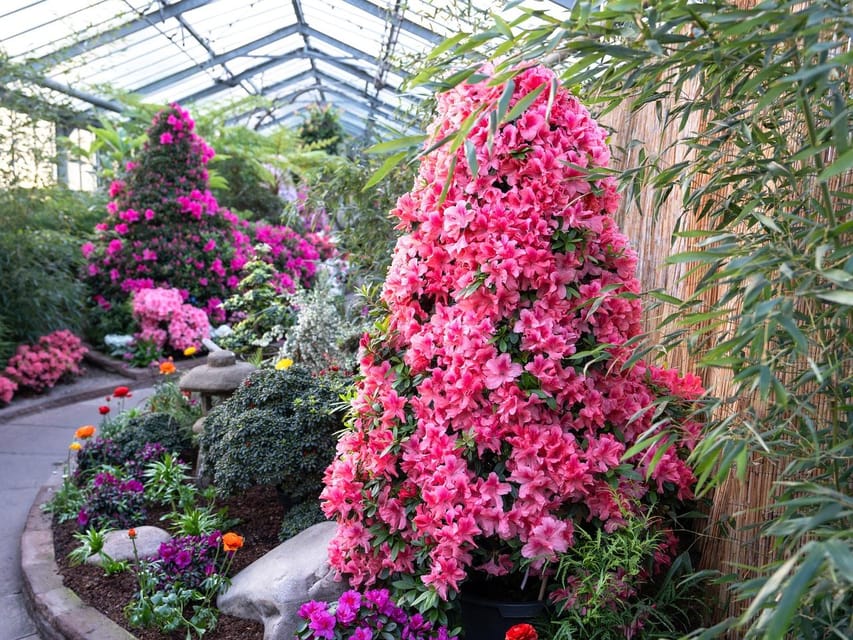 Stuttgart: Wilhelma Zoological-Botanical Garden Ticket - Is the $26 ticket good value?