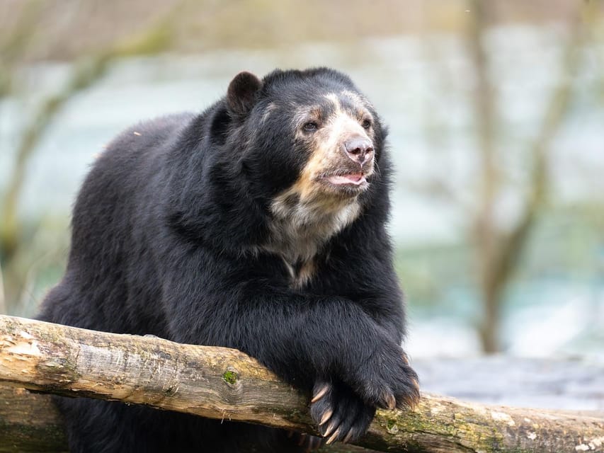 Stuttgart: Wilhelma Zoological-Botanical Garden Ticket - How much time should you plan?