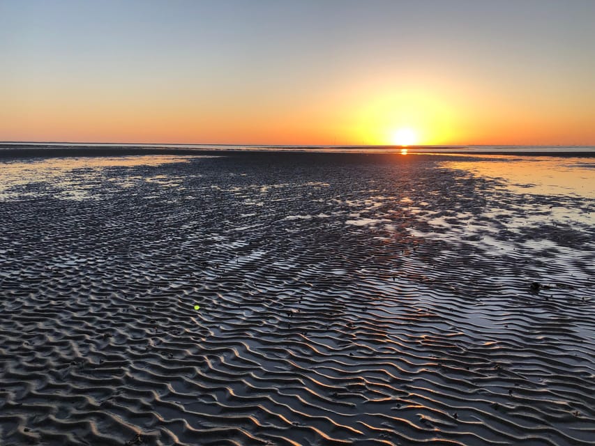 Sylt: Guided Mudflat Hike on the Island - Why Sylt’s mudflats deserve two hours