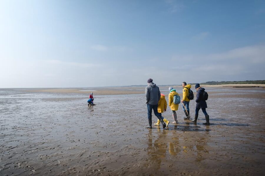 Sylt: Guided Mudflat Hike on the Island - Meeting Jan at Vogelkoje bus stop