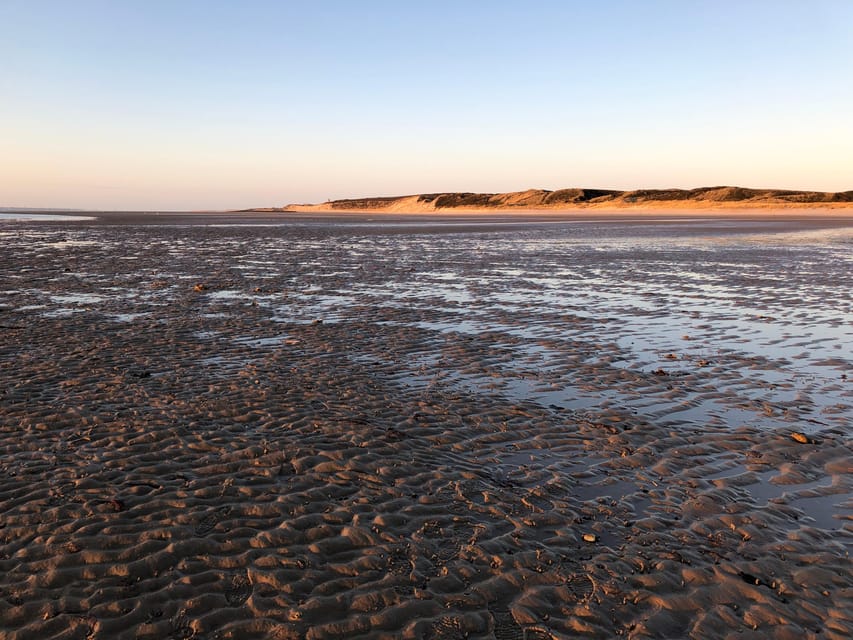 Sylt: Guided Mudflat Hike on the Island - Wildlife and the wider Wadden Sea