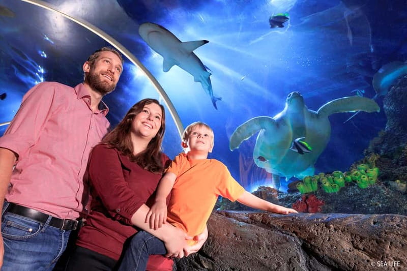 Ticket to SEA LIFE Konstanz - Daily feedings and aquarist talks