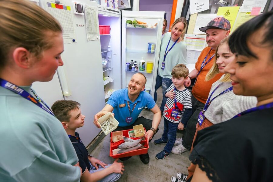 Timmendorfer Strand: SEA LIFE Behind the Scenes Tour - Enter the working side of SEA LIFE