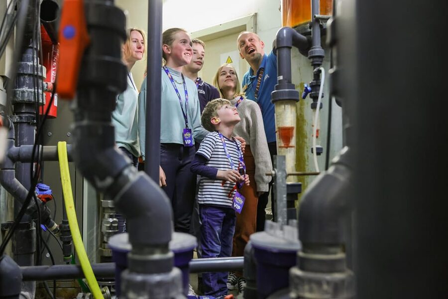 Timmendorfer Strand: SEA LIFE Behind the Scenes Tour - Why the small group matters
