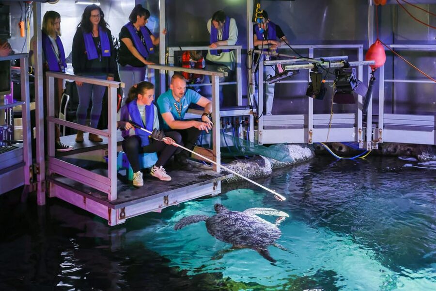Timmendorfer Strand: SEA LIFE Behind the Scenes Tour - What the aquarium visit adds