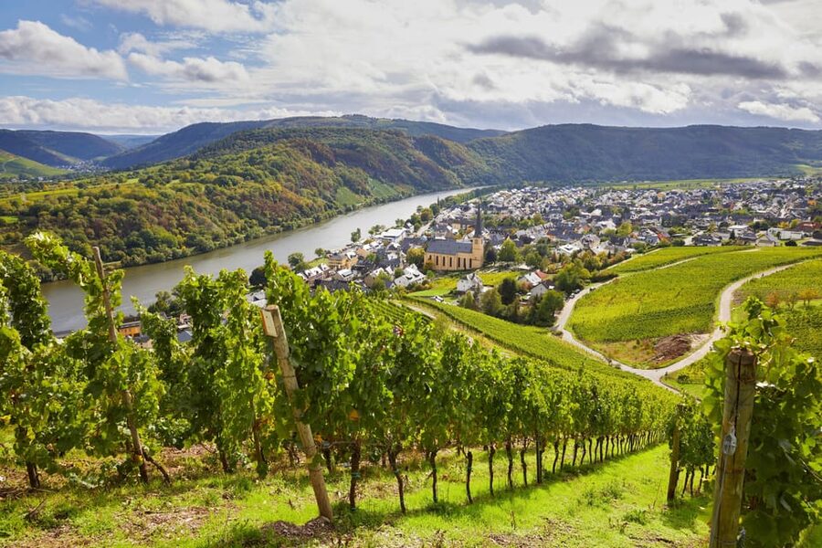 Traben-Trarbach / Bernkastel-Kues, Moselle: Wine experience hike - Key points at a glance