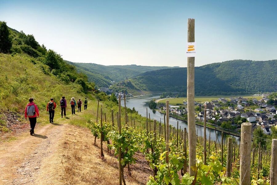 Traben-Trarbach / Bernkastel-Kues, Moselle: Wine experience hike - Walking through Kröv with the winemaker