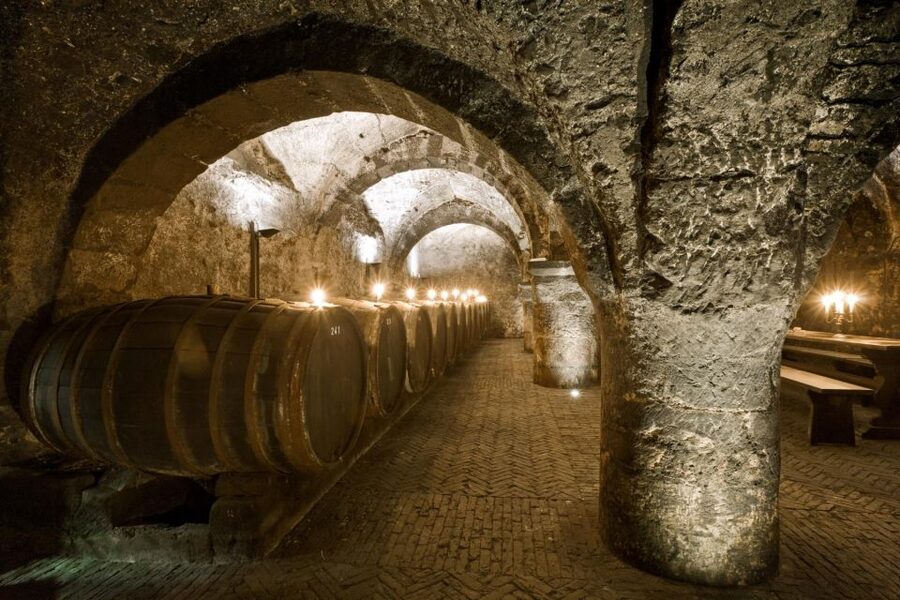 Trier: Discovery Tour – Germany's Oldest Wine Cellar - Who will enjoy this Trier experience most?