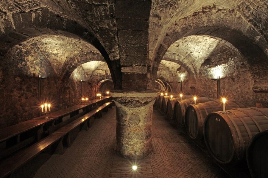 Trier: Discovery Tour – Germany's Oldest Wine Cellar - What the one-hour route gives you
