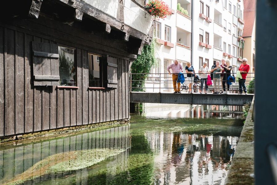 Ulm: City Center Walking Tour with Minster Visit - The guide style and overall pace