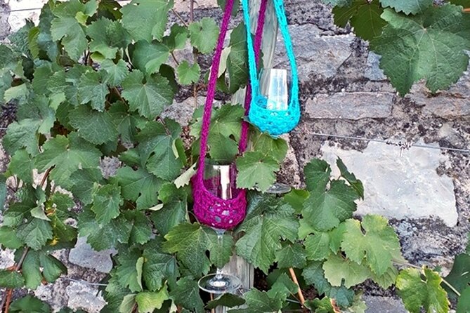 Wine rally in Würzburg with tasting - The Sensorium and the role of grape juice