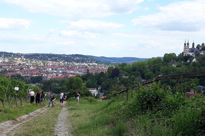 Wine rally in Würzburg with tasting - A musical stop with the wine harp