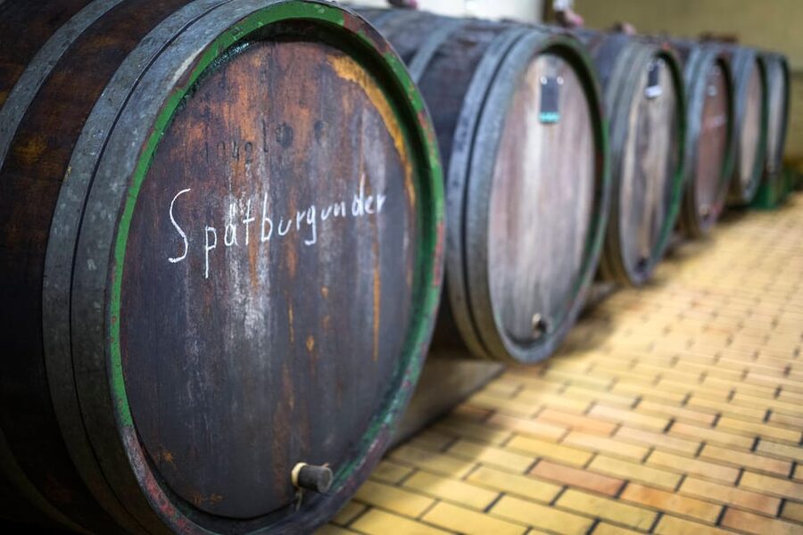 Winetasting with tour through the winery - Forty minutes inside the winery and cellar