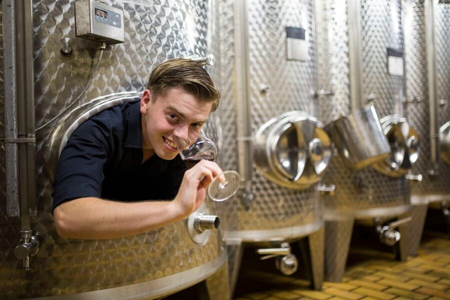 Winetasting with tour through the winery - Eighty minutes with five Mosel wines