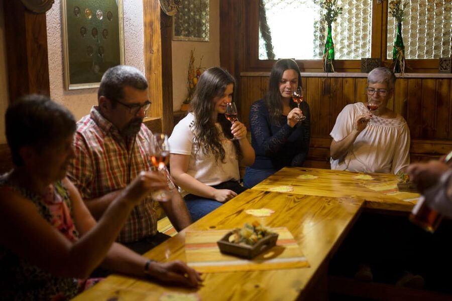 Winetasting with tour through the winery - Who should book this experience?